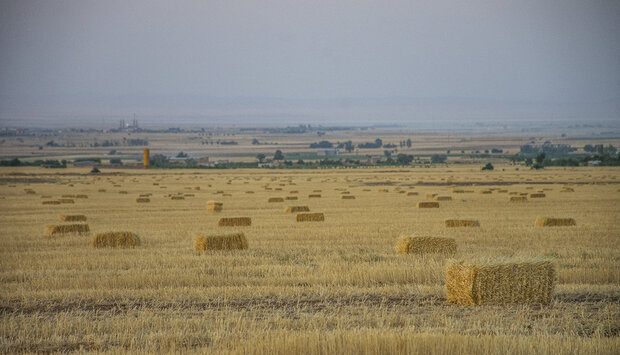 On-Farm Residue Management